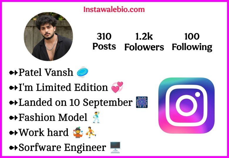 Instagram Bio For Patel Boys