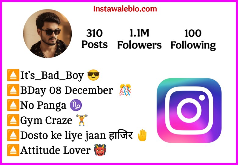 Instagram Bio For Boys Attitude