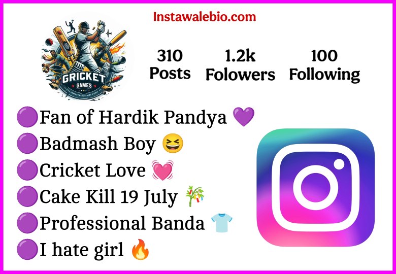 Instagram Bio For Cricket Lovers