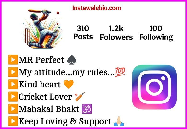 Instagram Bio For Boys Cricket Lover