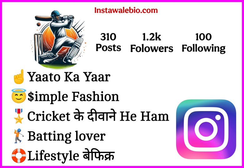 Cricket Lover Bio For Instagram
