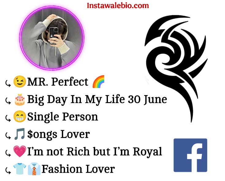 Facebook Bio For Boys Attitude