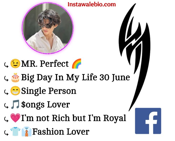 Stylish Facebook Bio For Boys