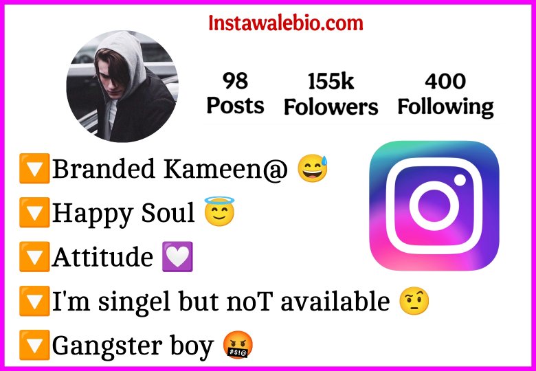 Badmash Gangster Bio For Instagram