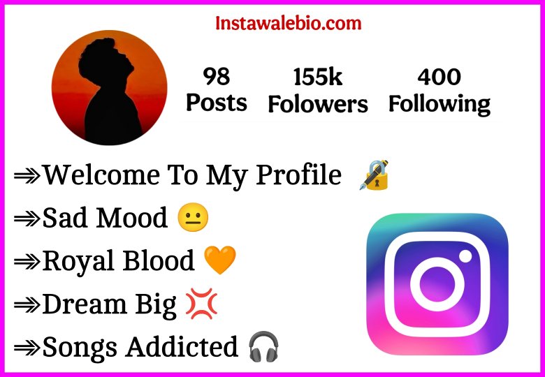 Very Sad Instagram Bio