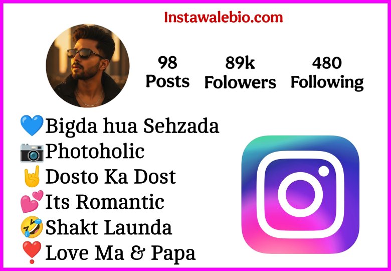 Attitude Instagram Bio In Hindi