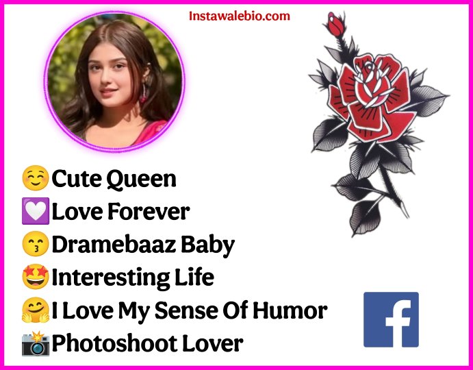 Stylish Bio For Fb Girl