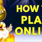 how to play Chicken Road game