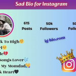 Instagram bios