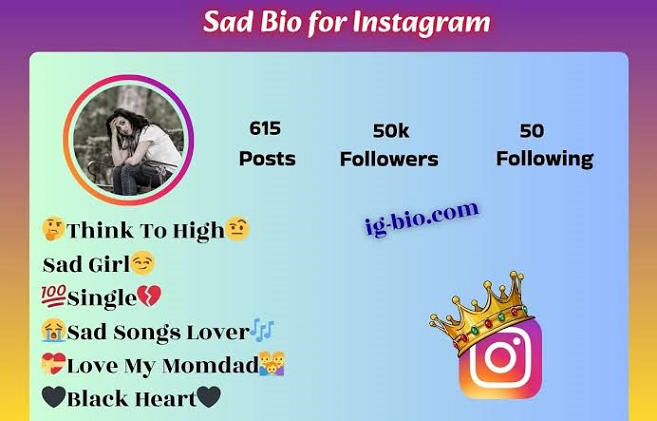 Instagram bios